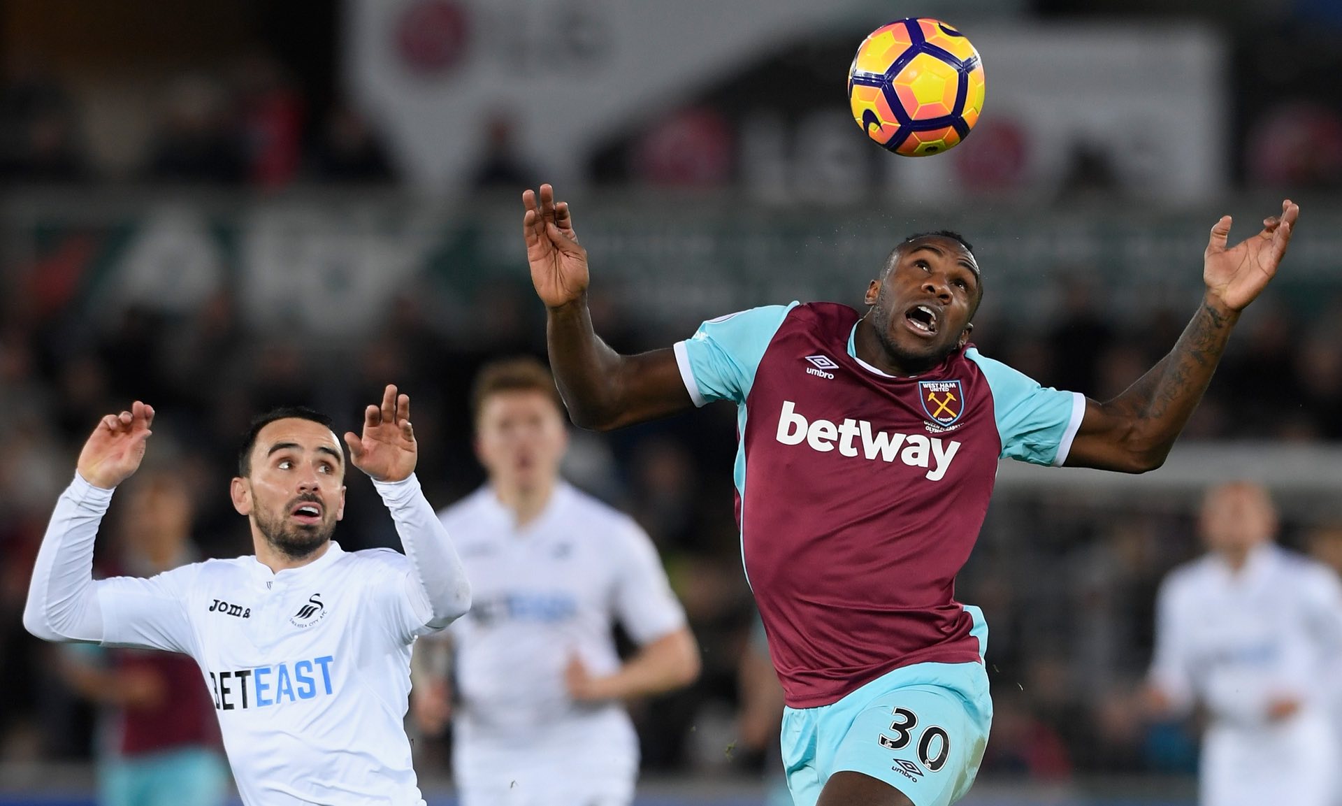 麦卡利斯特 麦卡利斯特